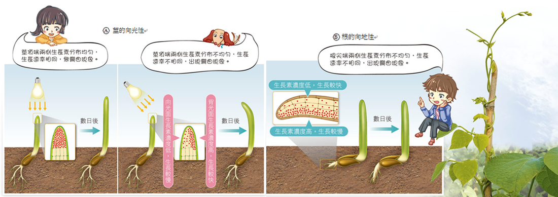 鸭脖官网